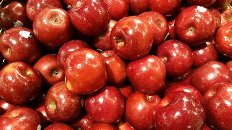 what apples are similar to rome beauty